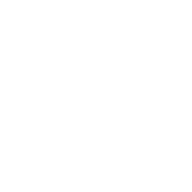 The School of Options